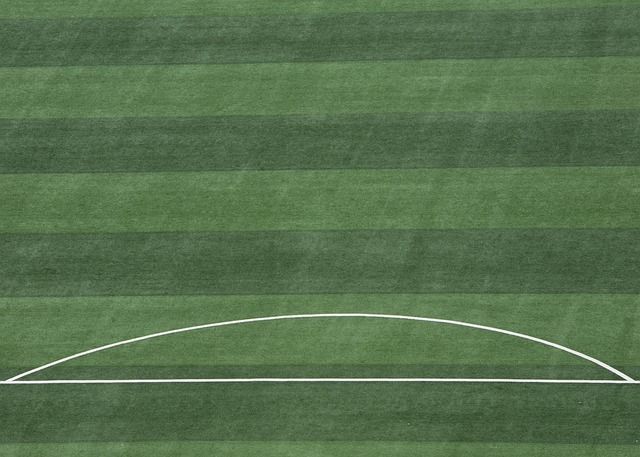 杉矶天使大 杉矶天使大