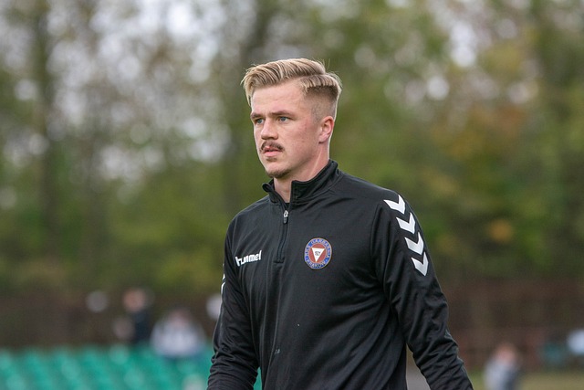 的新星之一 的新星之一