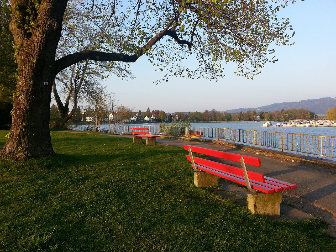 战术布置 战术布置