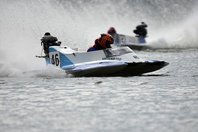 献上完美的 献上完美的