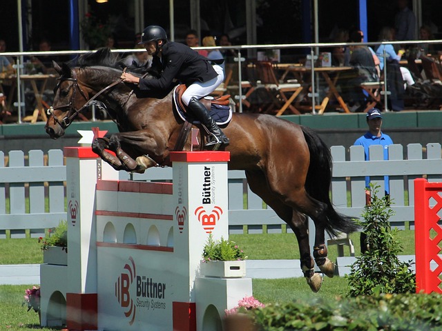 入进攻的体 入进攻的体