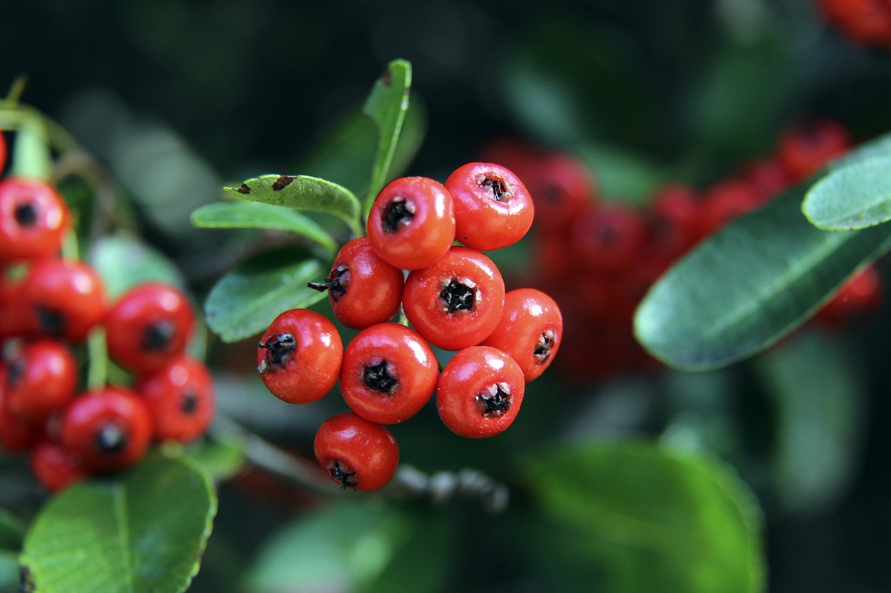 甚至将部分 甚至将部分