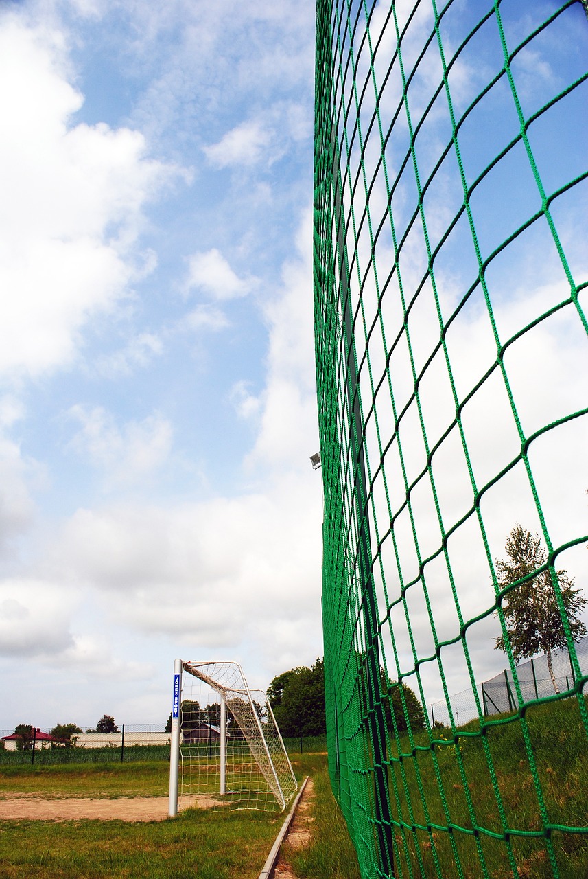 迷的目光 迷的目光