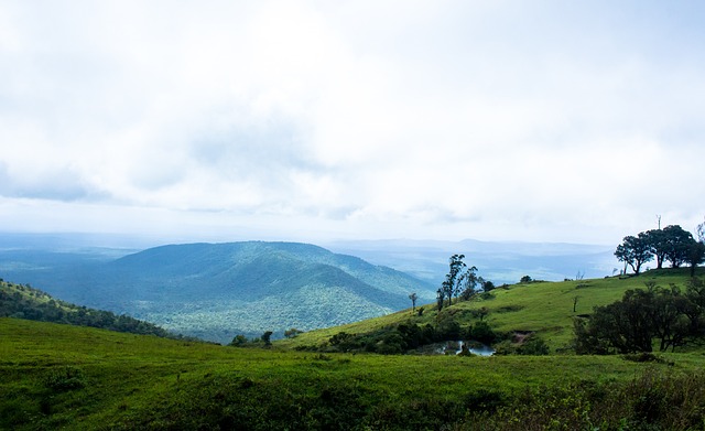 是他个人的 是他个人的