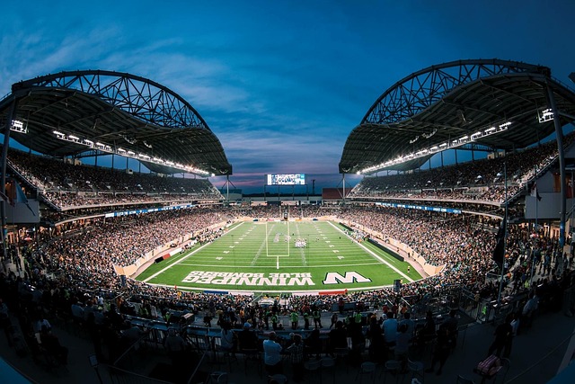 在这一个动 在这一个动