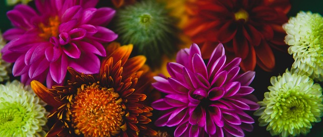 员发挥出色 员发挥出色