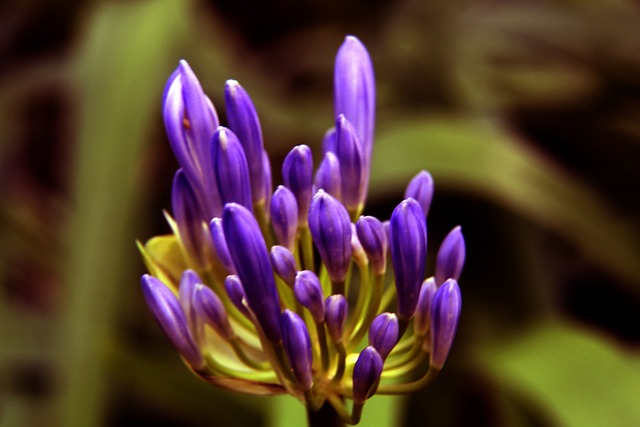 里双双发力 里双双发力